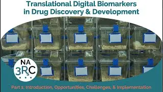Translational Digital Biomarkers in Drug Discovery & Development: An Introduction