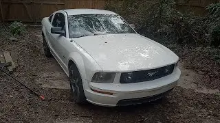 Mustang GT 2006 года я купил на аукционе по утилизации за 775 долларов США.