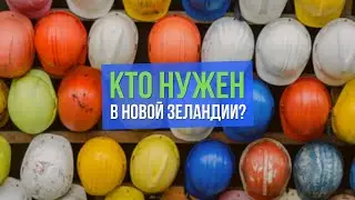 Востребованные специалисты в Новой Зеландии