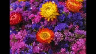 Flowers at Seattle&rsquo;s Pike Place Market
