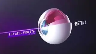 Eye Protect System - Pt BR