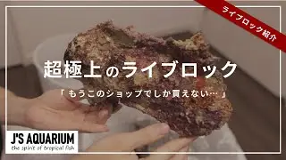 【超極上】ジェイズアクアリュウムさんのライブロック購入！