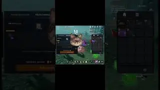 Заточится или фэил? Точу на +10 для коллы #л2м #l2m #lineage2m