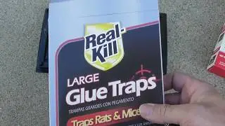 Real Kill Large Glue Traps Mouse Rat REVIEW DO THEY WORK?