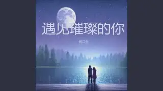 遇见璀璨的你