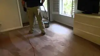 Carpet Cleaning Naples, Florida