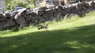 RcTricks
