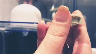 How to install the ceramic dome filter in the 8 Stage benchtop water filter