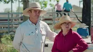 Droughtmaster Duaringa Station 2021