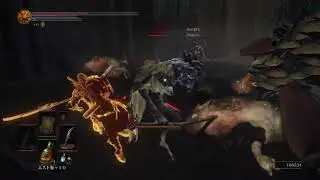 japanese dark souls 3 player gives americunt conniptions