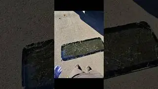 2021 Jeep wrangler windshield replacement