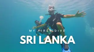 Trincomalee Dives: Best Diving Place in Sri Lanka #srilankatourism #trincomalee #indianexplorers