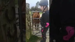 a tiny happy moment