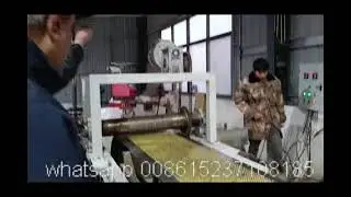Laundry Scent Booster Beads Making Machine Paraffin Wax Granules Pelleting Equipment Granulators