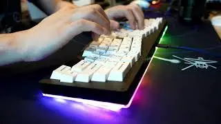 Switch Couture Alice T1 typing sounds