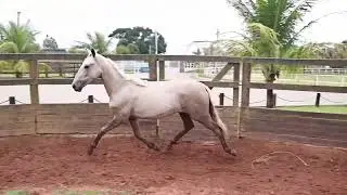 37 ETO RFV2 DO LITORAL SUL