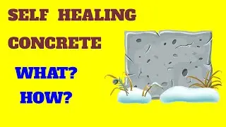 Self Healing Concrete - How Self Healing Concrete Works