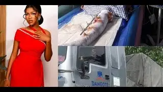 &ldquo;BBNaija Star Phyna Loses Sister in Tragic Dangote Truck Accident 💔 | Family Demands Justice&rdquo;