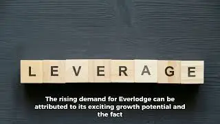 Everlodge Surges While Solana and XRP Stay Stagnant - Trader Exodus Unveiled!