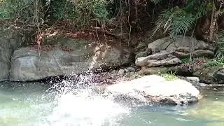 Lapture wild stream bath