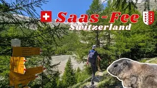 Hike from 🇨🇭 Saas-Fee to the Gletschergrotte (2000m) + Feeding Marmots 🏔️🐿️