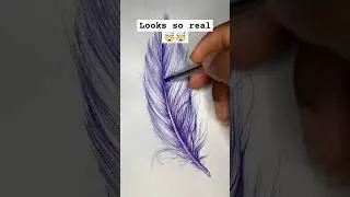 Simple Ballpoint Pen Practice | Drawing A Feather