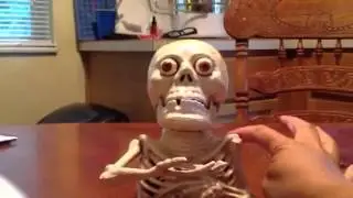 Skeleton Bank