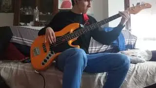 Dark Necessities (RHCP), Bass cover