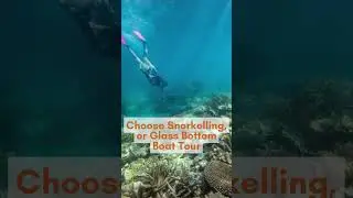 Cairns Reef Tour - Fitzroy Island & Green Island in a Day #cairns #fitzroy #greenisland #snorkeling
