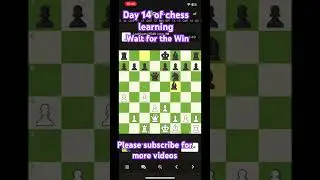 Day 14 of chess learning #chess #chessbrains #india #inspiration #samayraina #chesscom #indiawins