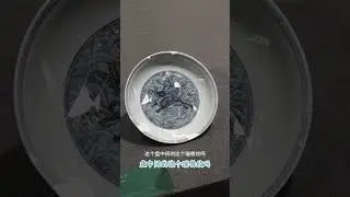 看看明朝瑞獸都長什麼樣 #瓷器 #瓷器收藏