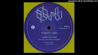 The Orb - Oxbow Lakes (Sabres No.1 Mix)