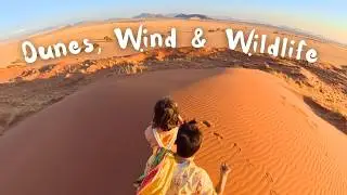 We're Not Alone Here...What Shocked Us Camping in Namibia's Empty Desert