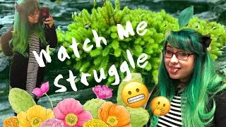 Bleaching and Dying My Hair NEON GREEN With Iroiro 🌱