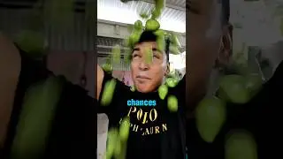 Top 5 Most Viral TikTok Phonk Music Original Songs🎧😍 Part-3 |Mango-old yazoo | #explore #shorts