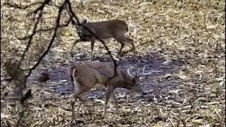 Iowa private land:oct17||cold front action