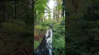 transylvanian forest #forestriver