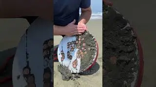 Treasure Hunt with My Giant Magnet! 🧲