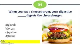 Digestive System: Model Question Paper with Solution