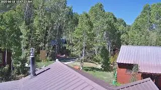 Live Leaf Cam - Desolation Hotel Hope Valley
