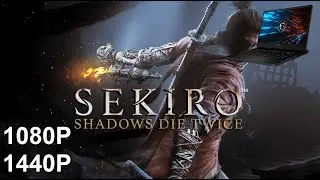 Sekiro: Shadows Die Twice - RTX 3070 laptop mobile 130W - i7 10750H - MSI GP66 Leopard