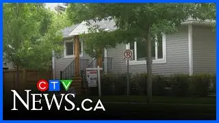 Demand high for central Alberta homes, realtor says  | CTV News Red Deer News: March 7