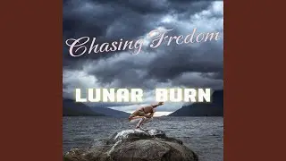 Chasing fredom