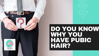 Do You Know Why You Have Pubic Hair