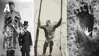 Before Humans There Were Them: Where Did The Race Of GIANTS Disappear