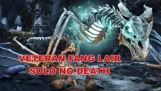 solo no death veteran Fang Lair
