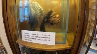Wielkopolski Park Narodowy, dęby w Rogalinie i muzeum Arkadego Fiedlera - [MAJ 2021]