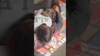My dog 🐕❤ has a pure heart🥺(@kumarvik7sep) #shorts #dog #cutedog #adorable #cuteanimals #puppy