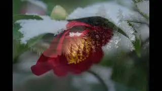 Syystunnelma - Paavo Rusava