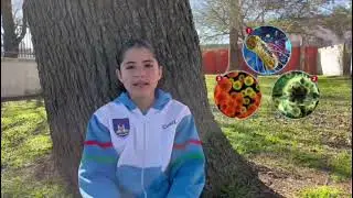 BIOFUTURO Fertilizantes. Escuela Arturo M. Matterson.